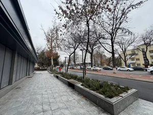 Фото 6 Коммерция в Мирзо-Улугбекском районе