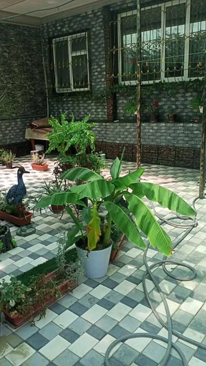 Фото 1 4-комн. квартира в Мирзо-Улугбекском районе