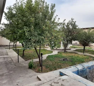 Фото 9 Участок в Парк Янги Узбекистан