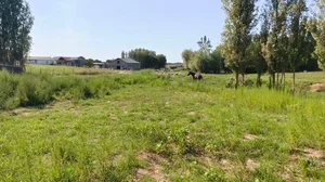 Фото 4 Дом в Янгийул Мирзо-Улугбекском районе