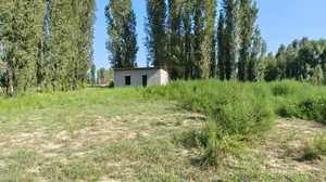Фото 5 Дом в Янгийул Мирзо-Улугбекском районе