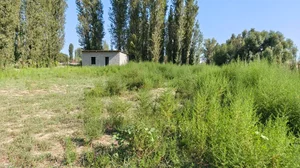 Фото 6 Дом в Янгийул Мирзо-Улугбекском районе