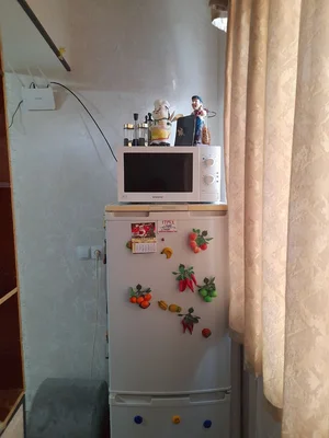 Фото 8 1-комн. квартира в Буз2 Тараканчик