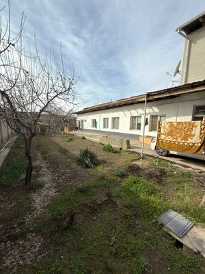 Фото 8 Участок в Мирзо-Улугбекском районе