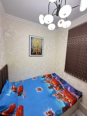 Фото 6 2-комн. квартира в Парламент