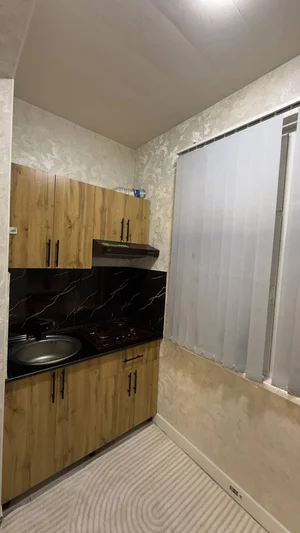 Фото 6 2-комн. квартира в Школа 101