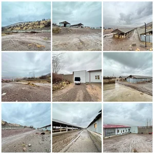 Фото 1 Участок в Бўстонлиқ тумани