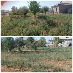 Фото 1 Участок в Чиноз тумани, Олмазор