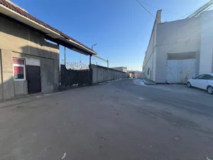 Фото 1 Не указано