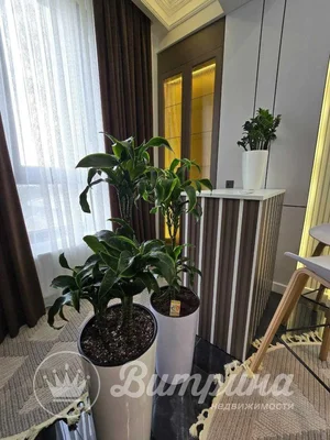 Фото 8 2-комн. квартира в Мирзо-Улугбекском районе