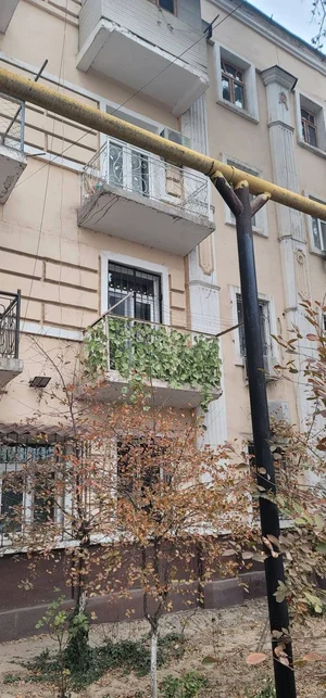 Фото 10 3-комн. квартира в Magic city