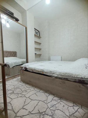 Фото 3 1-комн. квартира в Паркентском районе