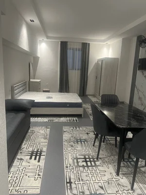 Фото 2 1-комн. квартира в Цалковский