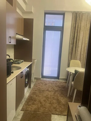 Фото 3 1-комн. квартира в Цалковский