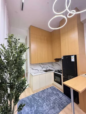 Фото 3 1-комн. квартира в EURO HOUSE