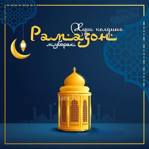 Фото 1 Не указано