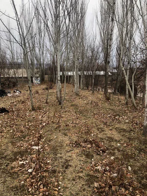 Фото 4 Участок в Оқтош