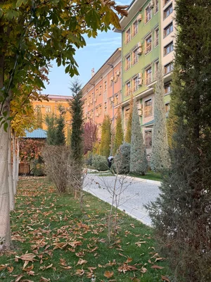 Фото 1 Квартира в Шайхонтахурском районе